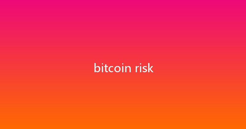 bitcoin risk 